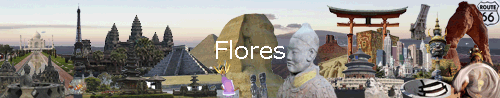 Flores