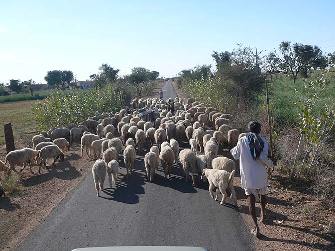 Indien011.JPG