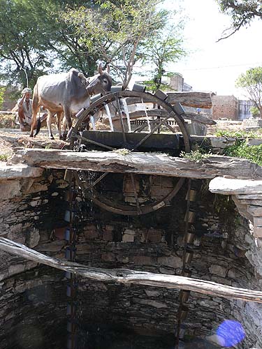 Indien063.JPG