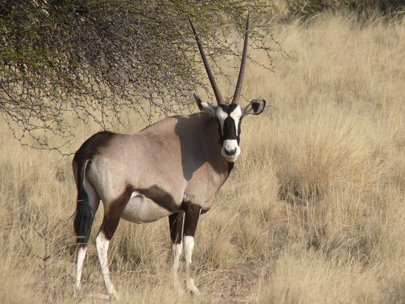 Namibia003.JPG