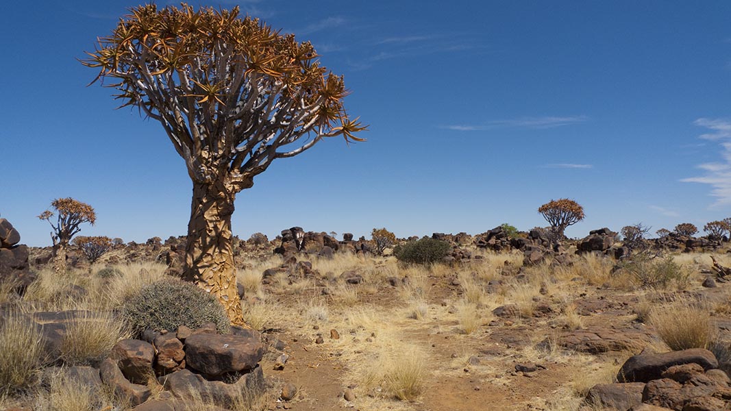 Namibia009.jpg