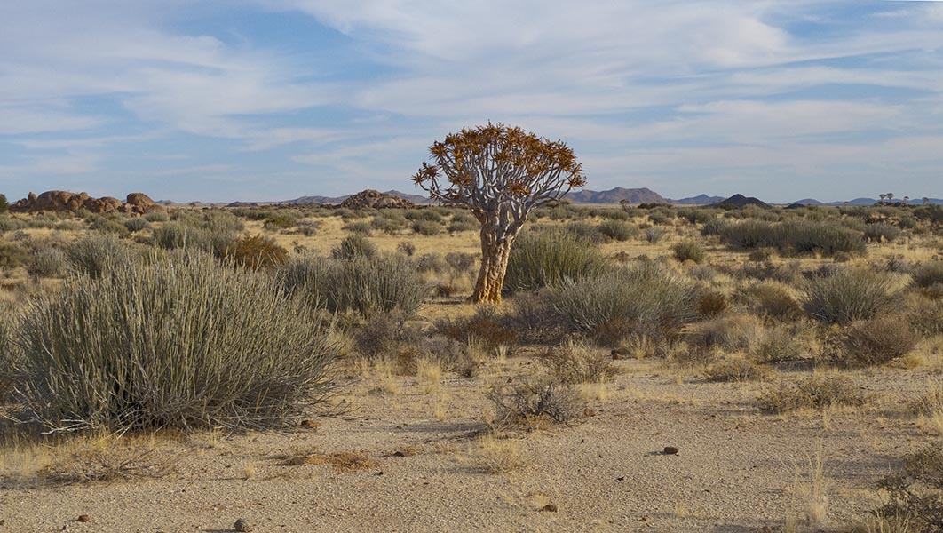 Namibia024.jpg