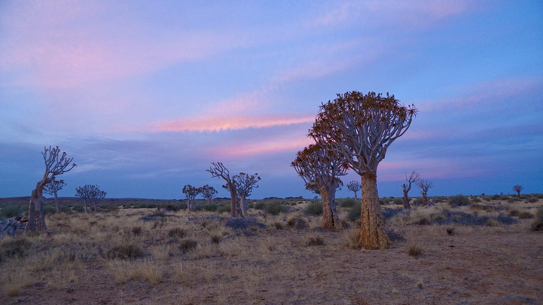 Namibia029.jpg