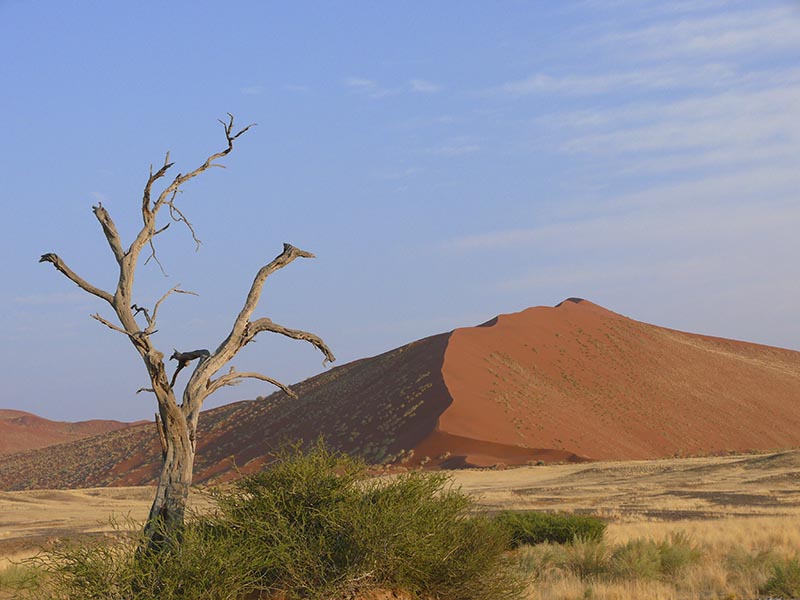 Namibia069.JPG