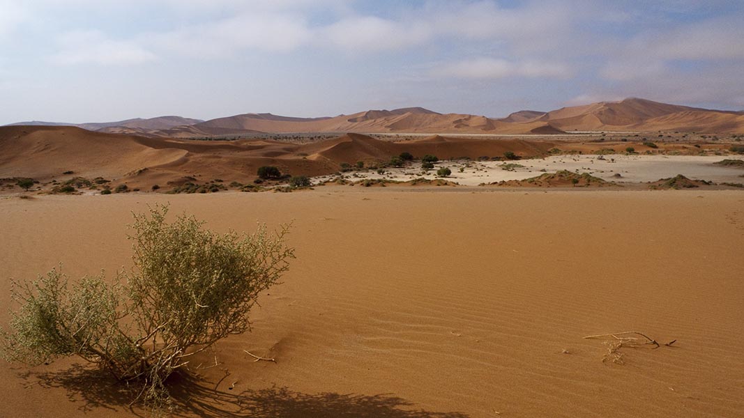 Namibia076.jpg