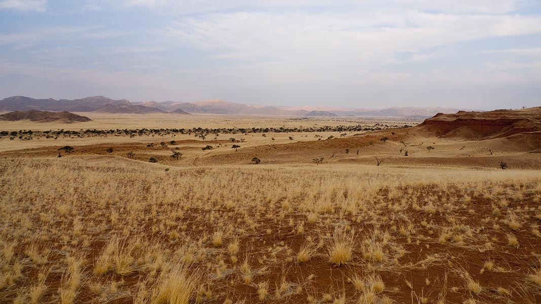 Namibia081.jpg