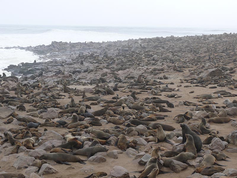 Namibia113.JPG