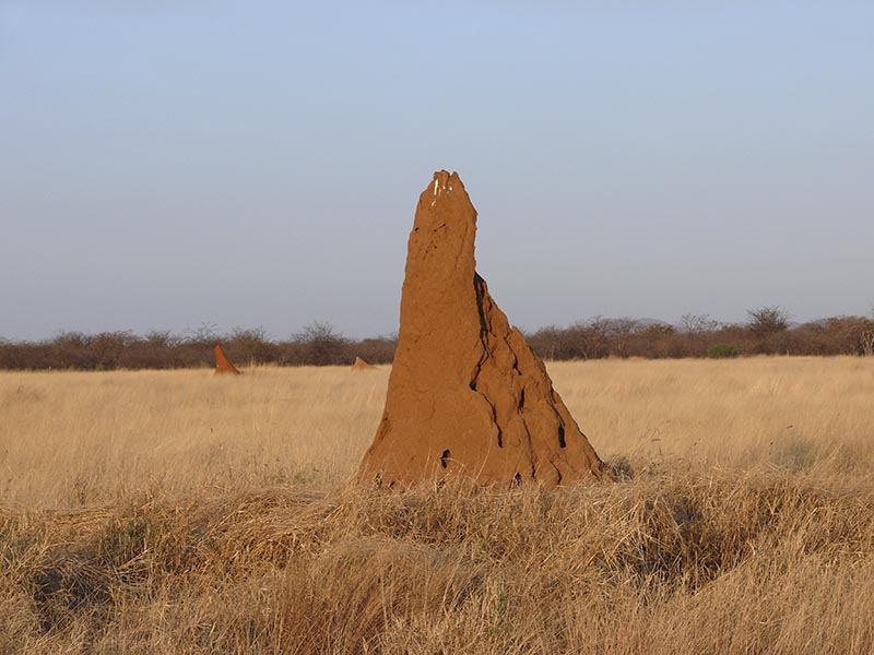 Namibia130.JPG