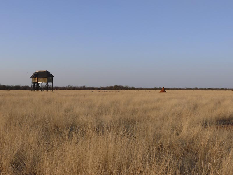 Namibia131.JPG