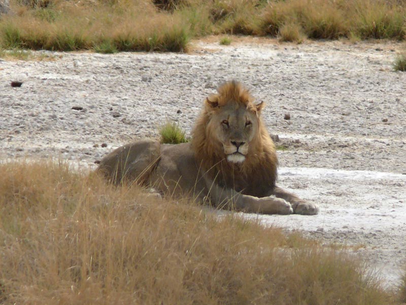 Namibia135.JPG