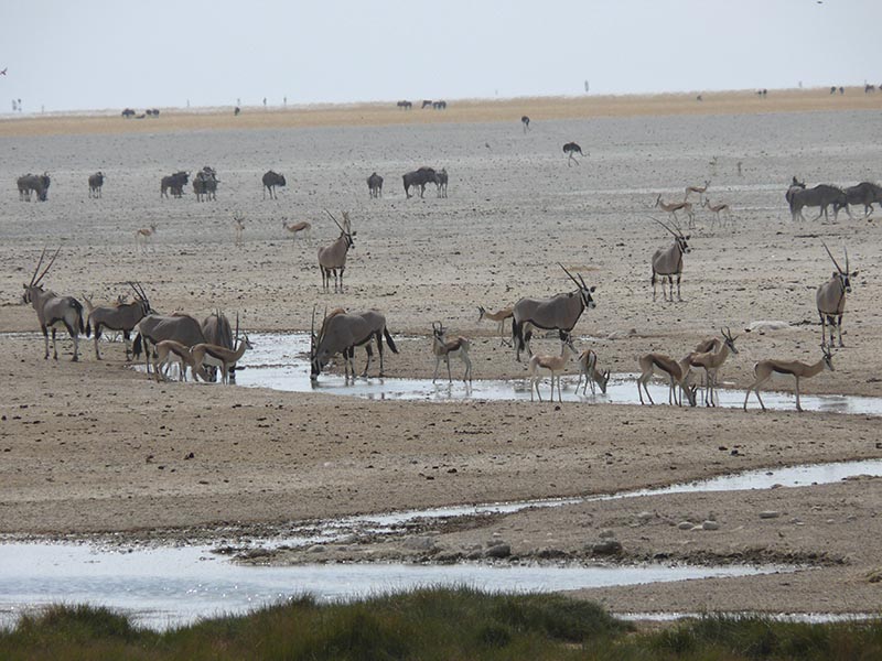 Namibia137.JPG