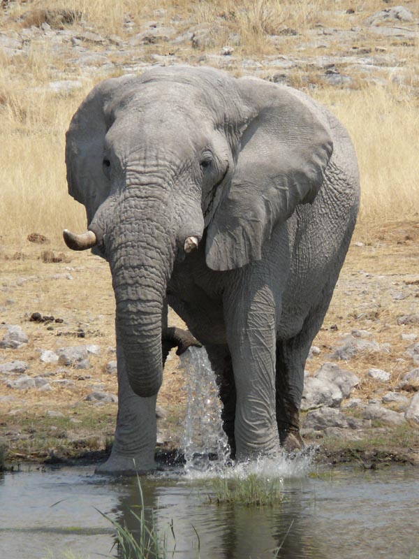 Namibia142.JPG