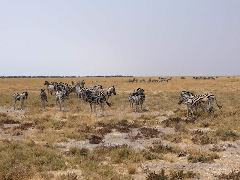 Namibia143.JPG