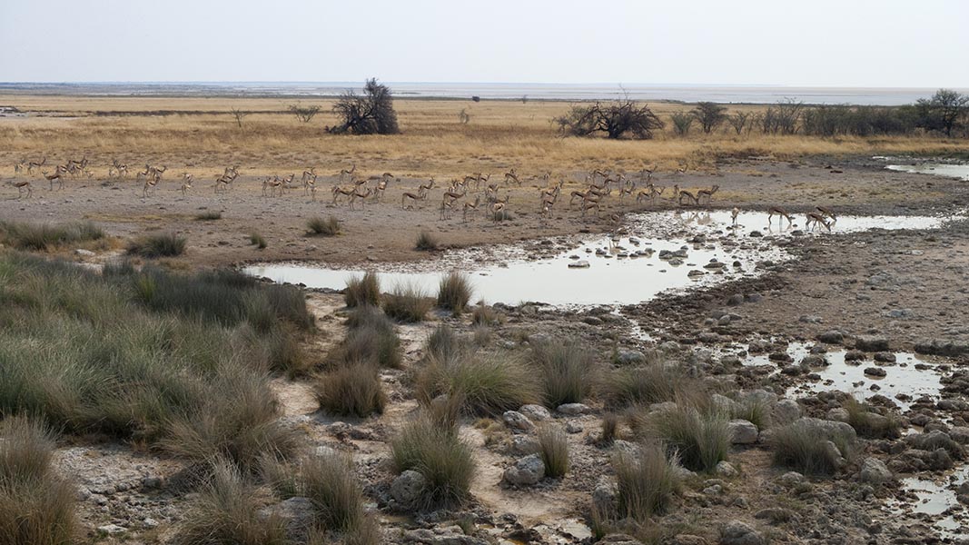 Namibia146.jpg