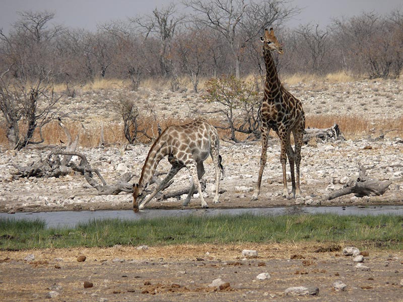 Namibia147.JPG