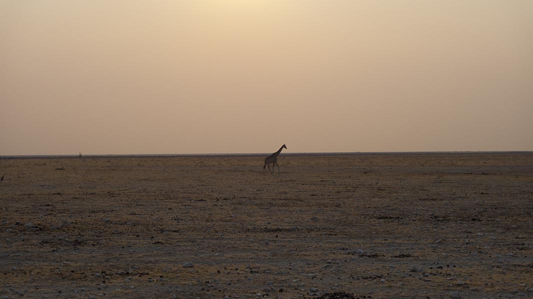 Namibia150.jpg