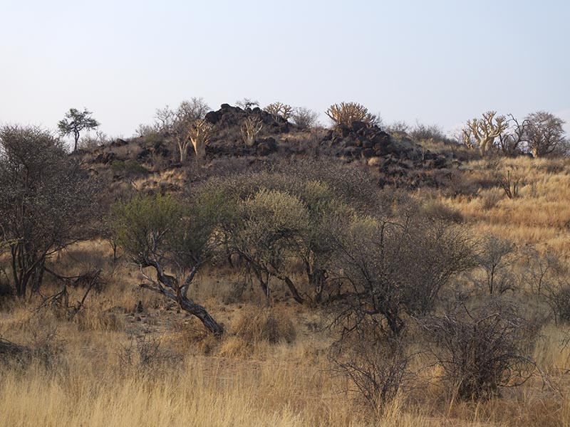 Namibia166.jpg