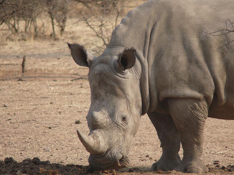 Namibia167.JPG