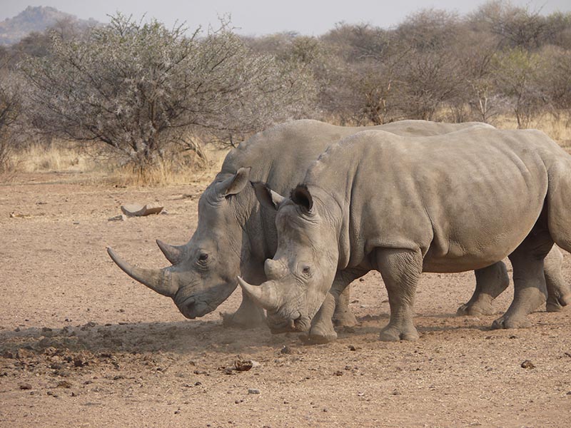 Namibia170.JPG