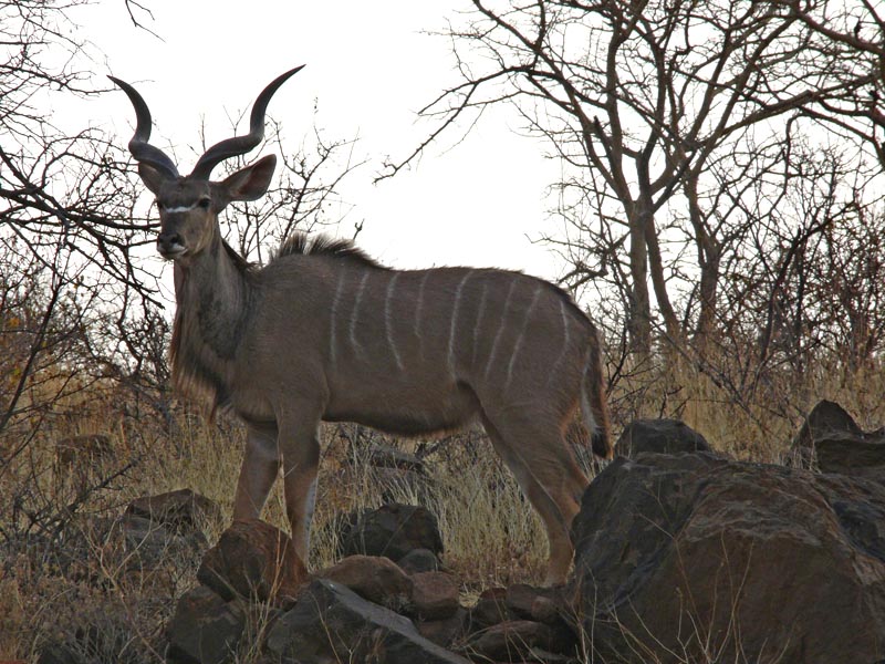 Namibia172.JPG
