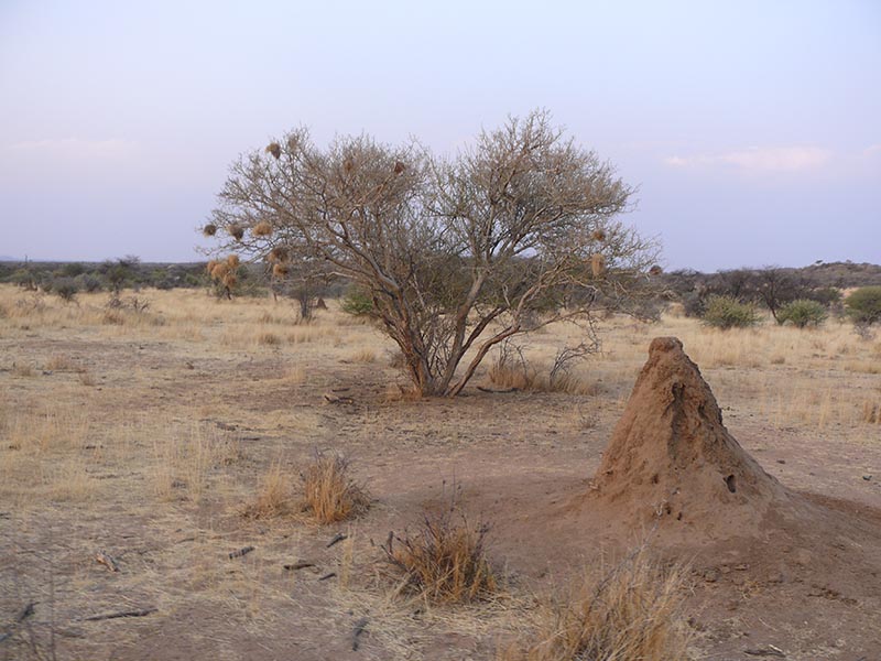 Namibia173.JPG