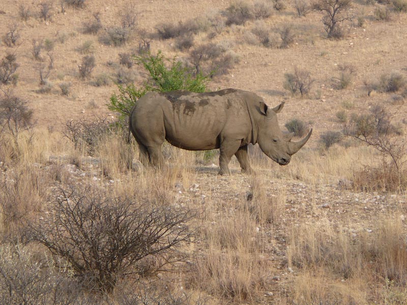 Namibia188.JPG