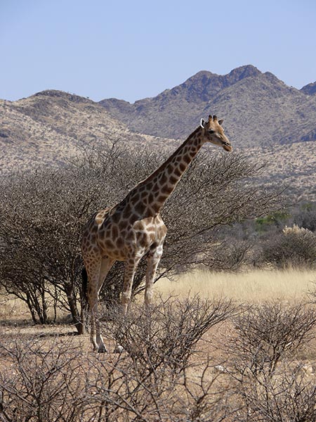 Namibia198.JPG