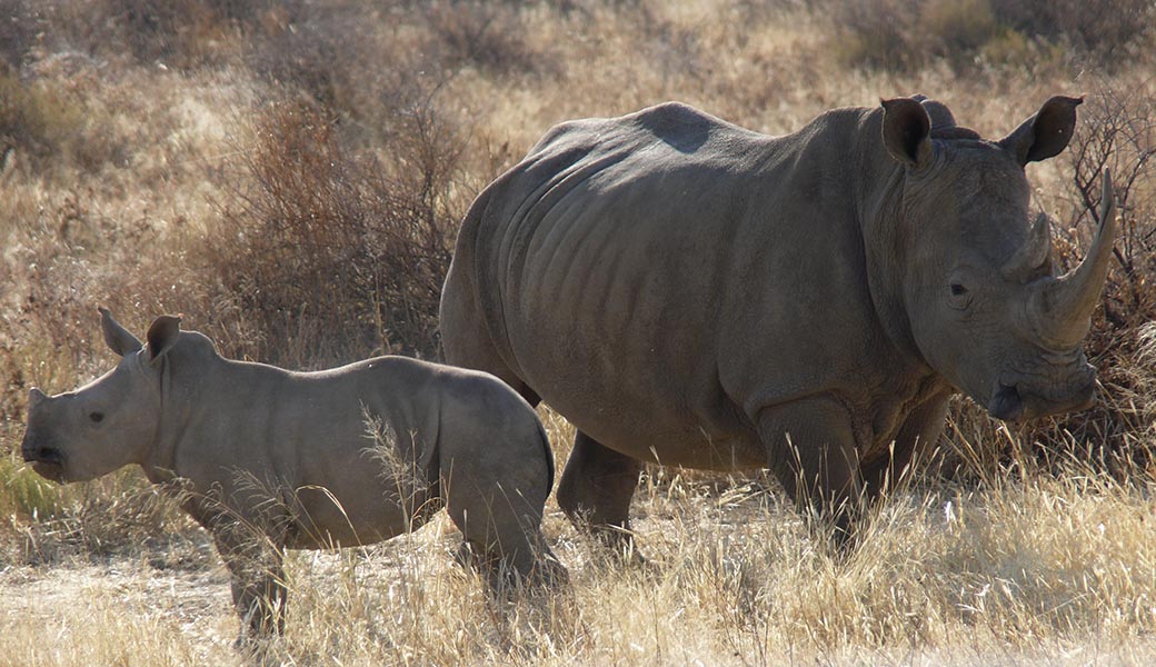 Namibia207.JPG