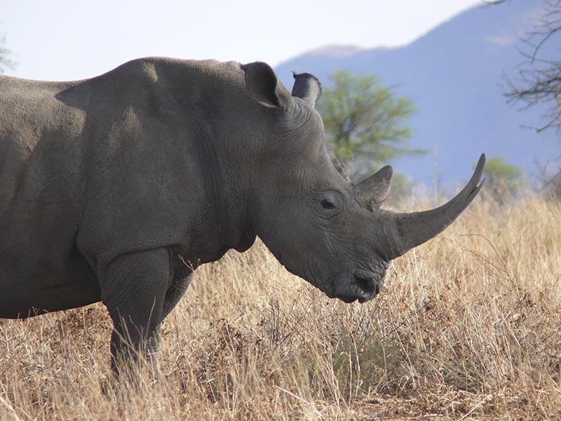 Namibia208.JPG
