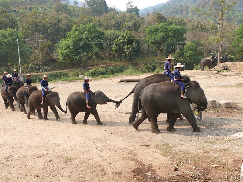 Thai09_1_03.JPG