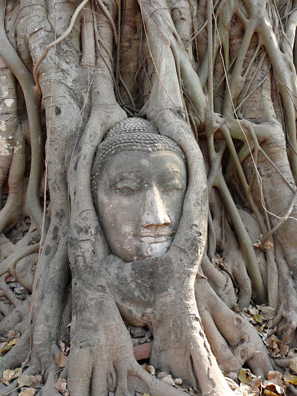 Thai09_2_31.JPG