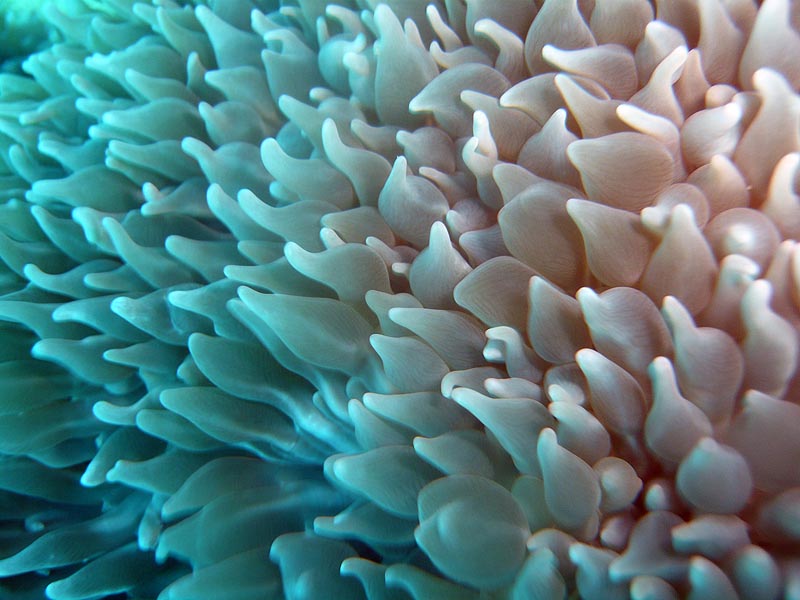 Thai09_F5_06.JPG