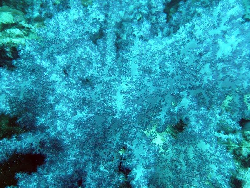 Thai09_F5_17.JPG