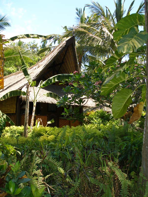 bali06_00.JPG