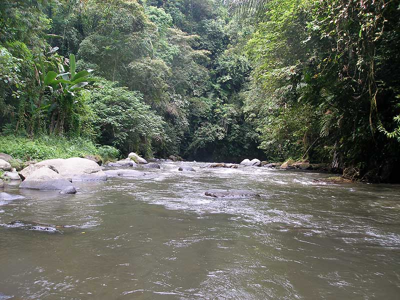 bali06_AA7.JPG