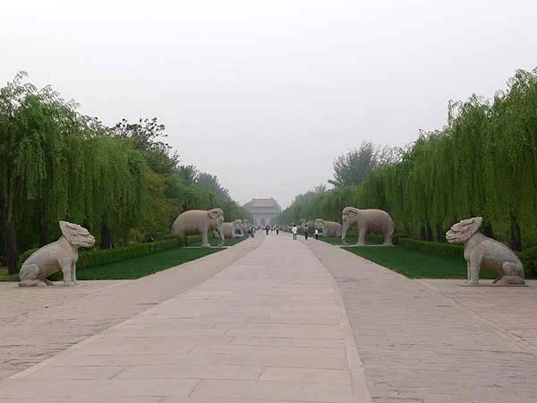 china015.JPG