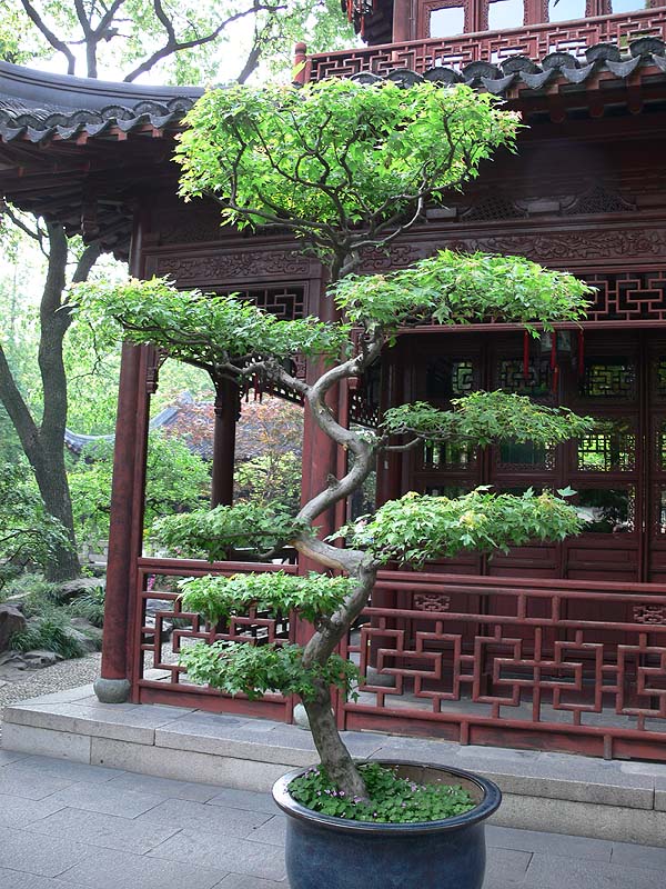 china026.JPG