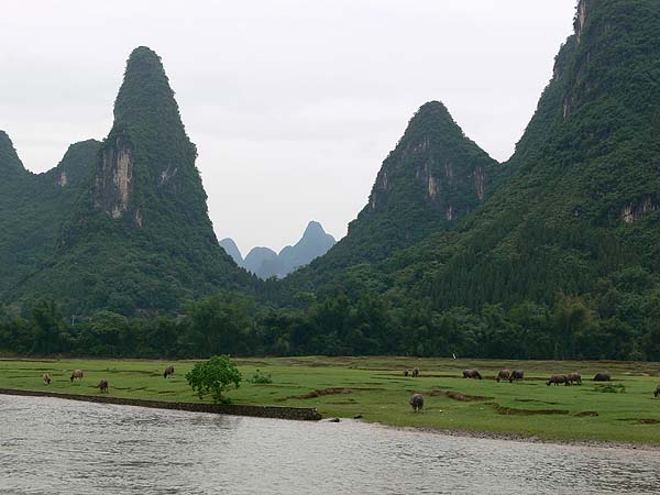 china050.JPG