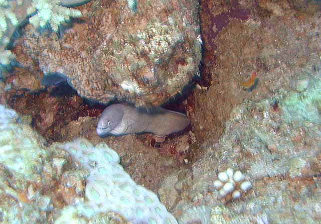 Dahab028.jpg