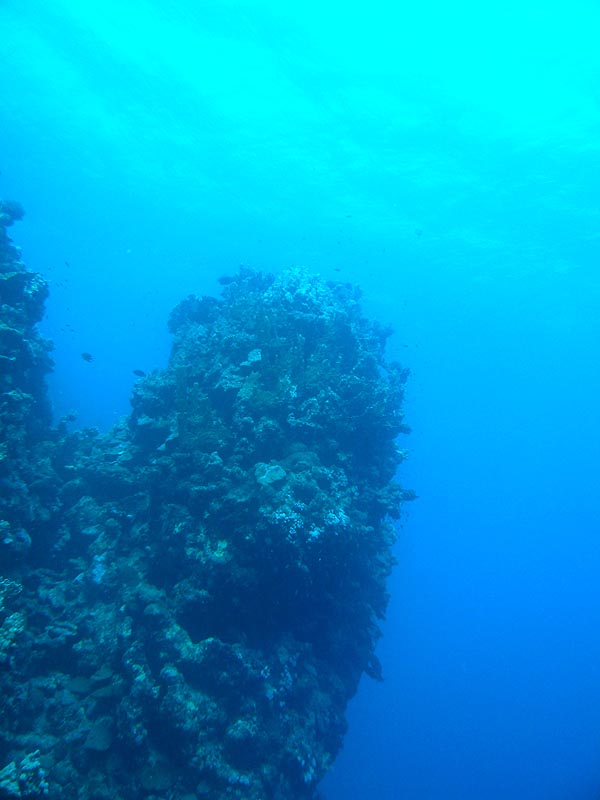 elquseir07_12.JPG