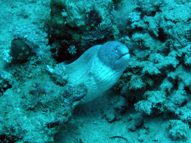 elquseir07_19.JPG