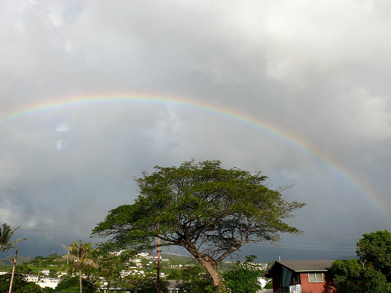 hawaii0021.JPG