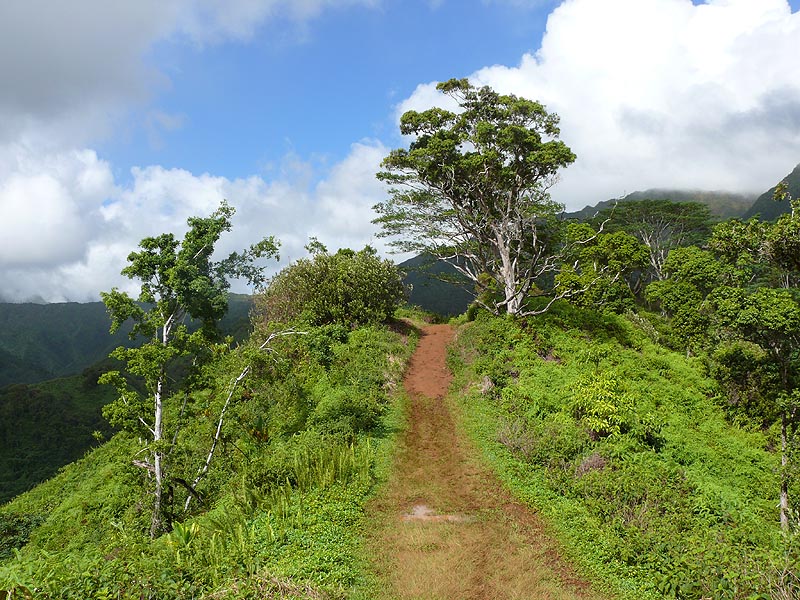 hawaii0033.JPG