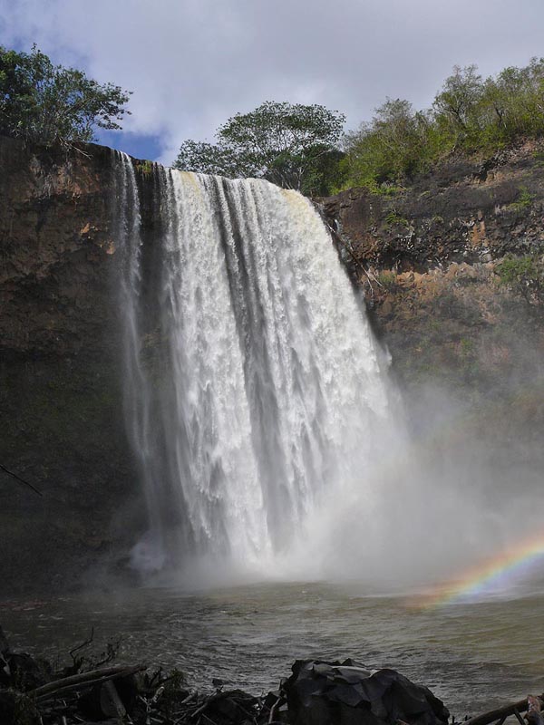 hawaii0034.JPG