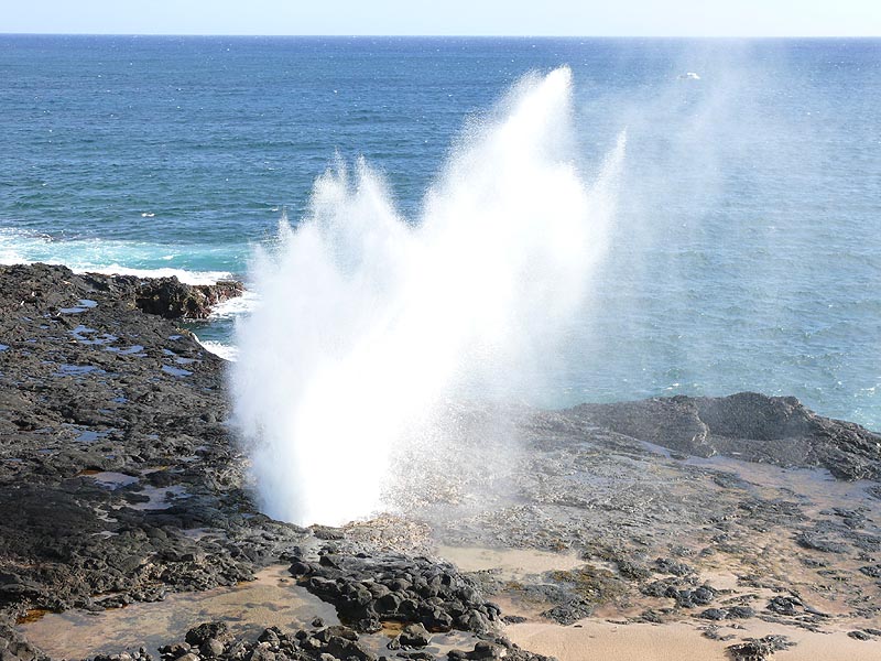 hawaii0036.JPG