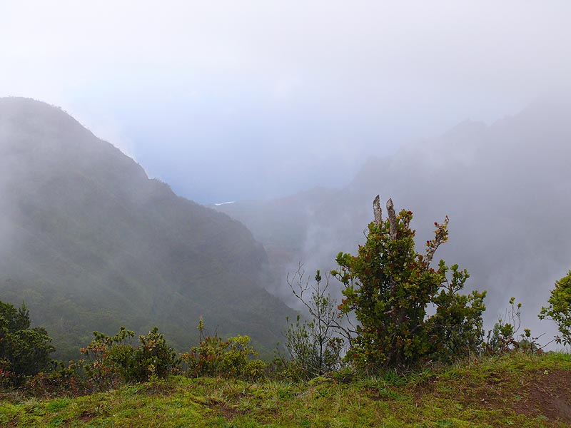 hawaii0040.JPG