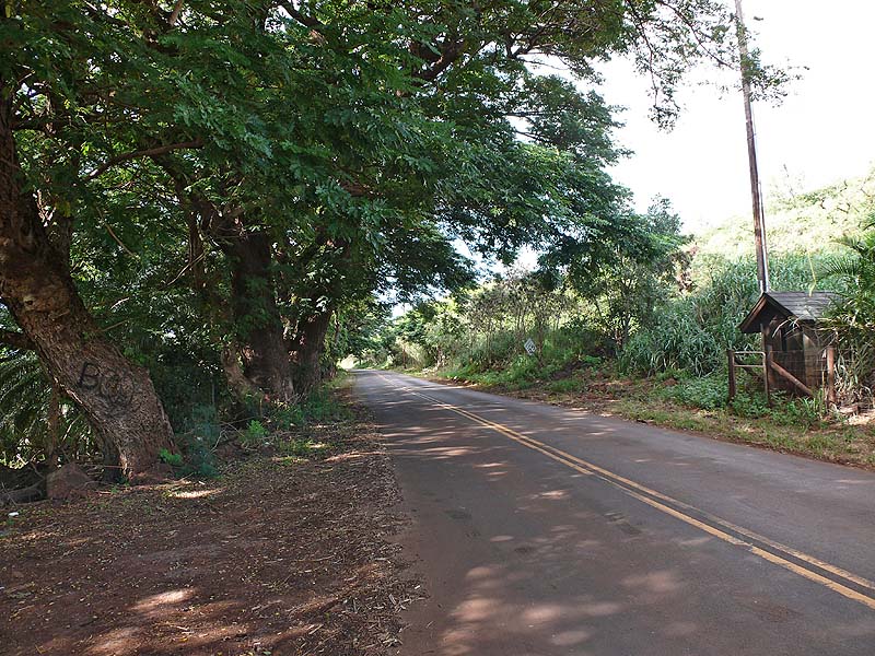 hawaii0041.JPG