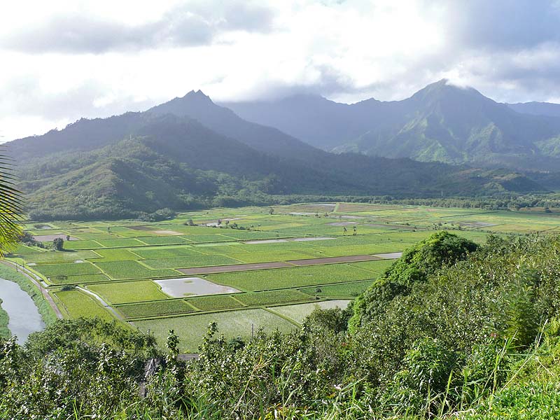 hawaii0043.JPG