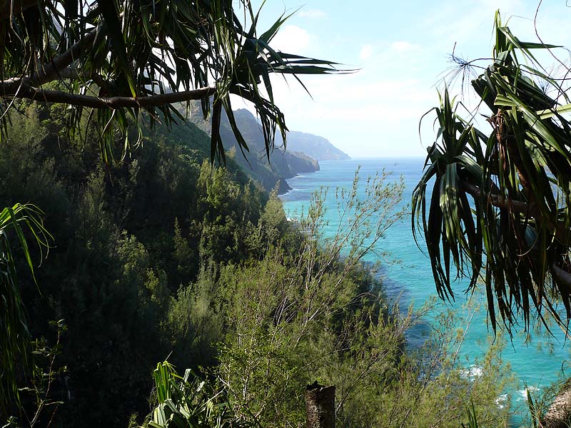 hawaii0044.JPG