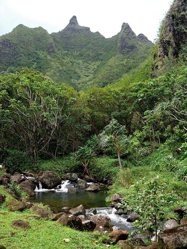 hawaii0046.JPG